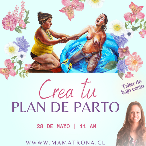 Taller Plan de Parto